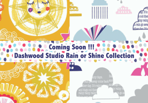 Dashwood Studio Rain or Shine Collection