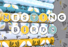 Dashwood Studio Nesting Birds Collection by Jojo Coco Design