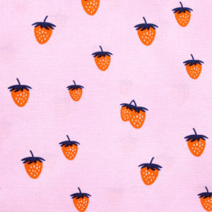 Art Gallery Fabrics Summer Side Backyard Berry Candy