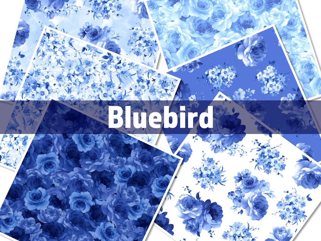Timeless Treasures Bluebird Collection by TT Fabrics