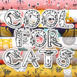 Dashwood Studio Cool For Cats Collection